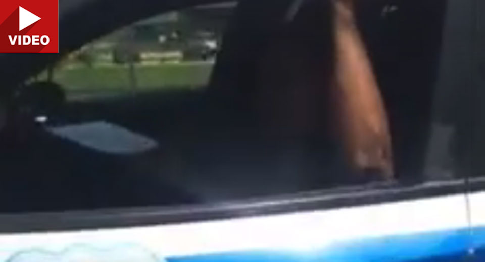 Police Officer Fired After Being Filmed Flirting While On Patrol