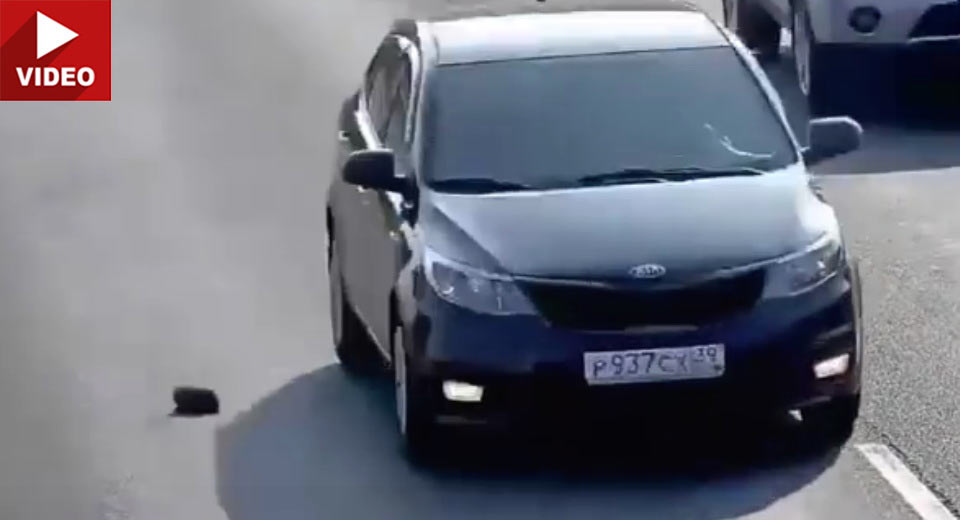  Russian Driver Gives Kitten Stranded On The Highway Another Chance In Life