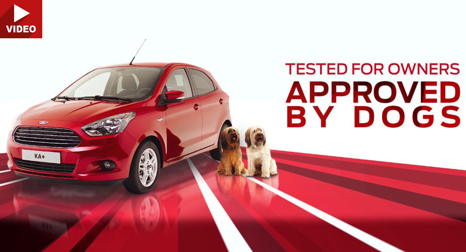  Dogs From All Over Europe Take A Seat In New Ford Ka+ Spots