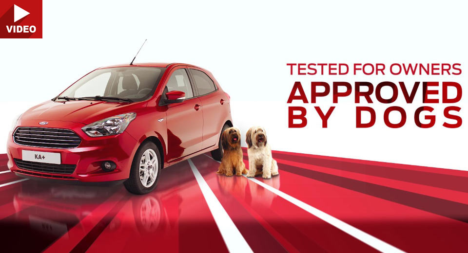 Dogs From All Over Europe Take A Seat In New Ford Ka+ Spots
