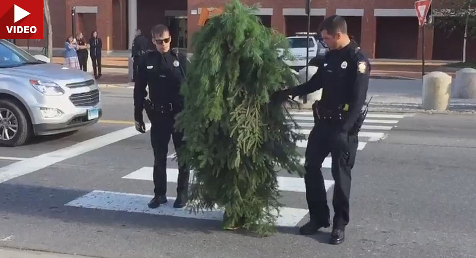  Man Dressed As A Tree Arrested In Portland For Obstructing Traffic