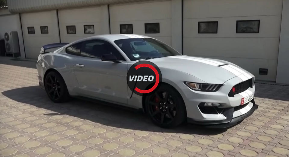  The Mustang Shelby GT350R Is A Big, Bad, Intoxicating Snake