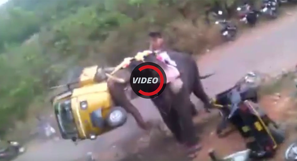 Angry Elephant Goes On Rampage During Indian Festival