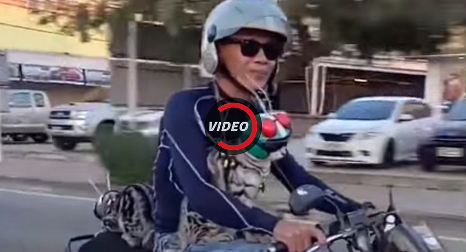 Two Cats Spotted On A Motorcycle Wearing Tiny Little Helmets…Aww