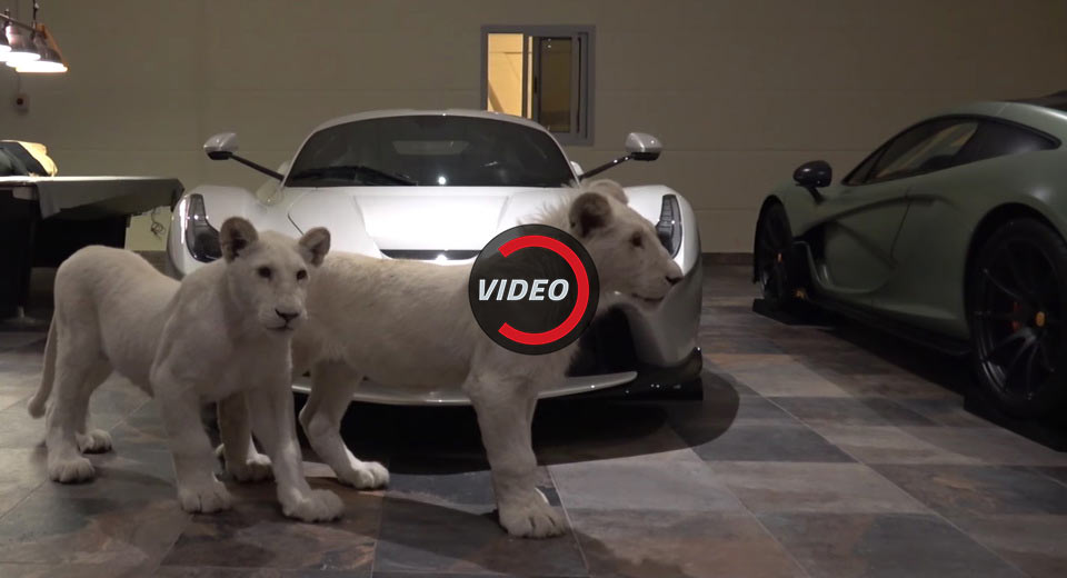  This Opulent Qatar Garage Comes With Hypercars And White Lion Cubs