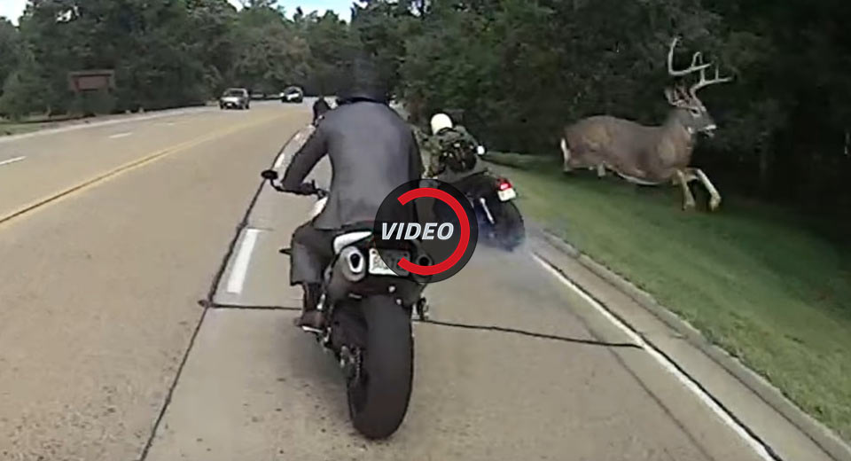Fear The Deer! Buck Causes Motorcycle Rider To Lose Control