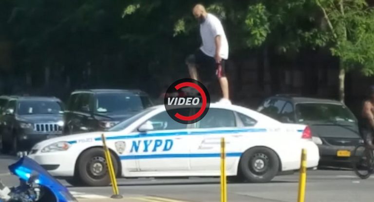 Man Climbs On Top Of NYPD Cruisers In Harlem | Carscoops