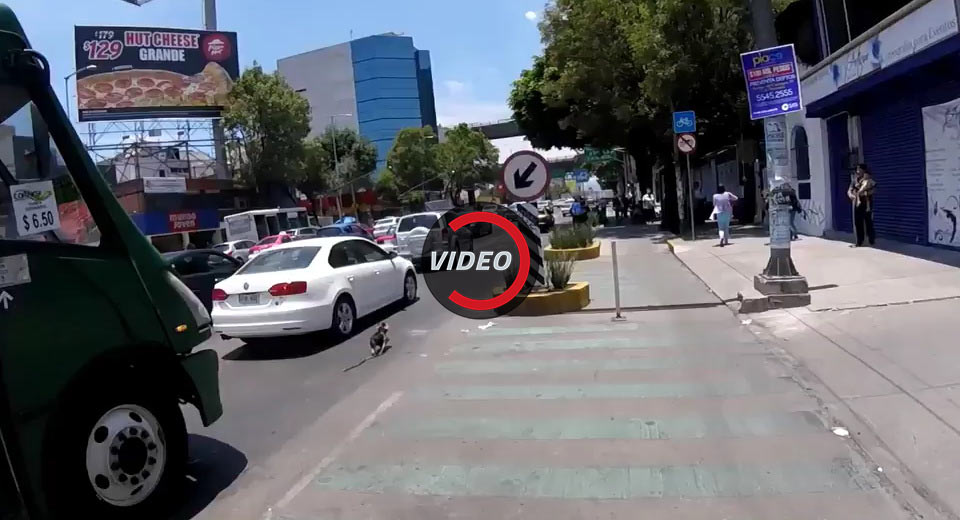  Cyclist Going After Yorkie In Mexico City Traffic Is The Best Chase Scene You’ll See Today