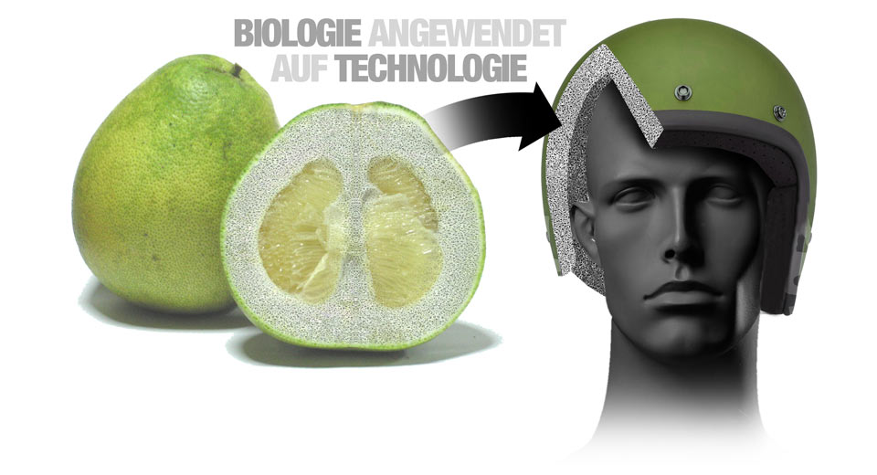  BMW Workers To Adopt Protective Equipment Inspired By Nature