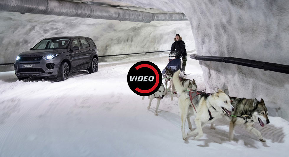 Land Rover Pits A Dog Sled Team Against The Discovery Sport
