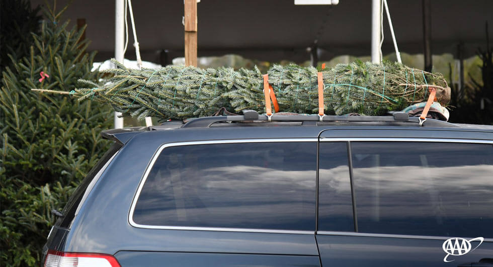 Millions Of Americans Don’t Properly Secure Christmas Trees To Their Vehicles