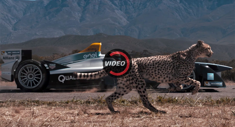  What’s Faster: An Electric Racing Car Or A Cheetah?