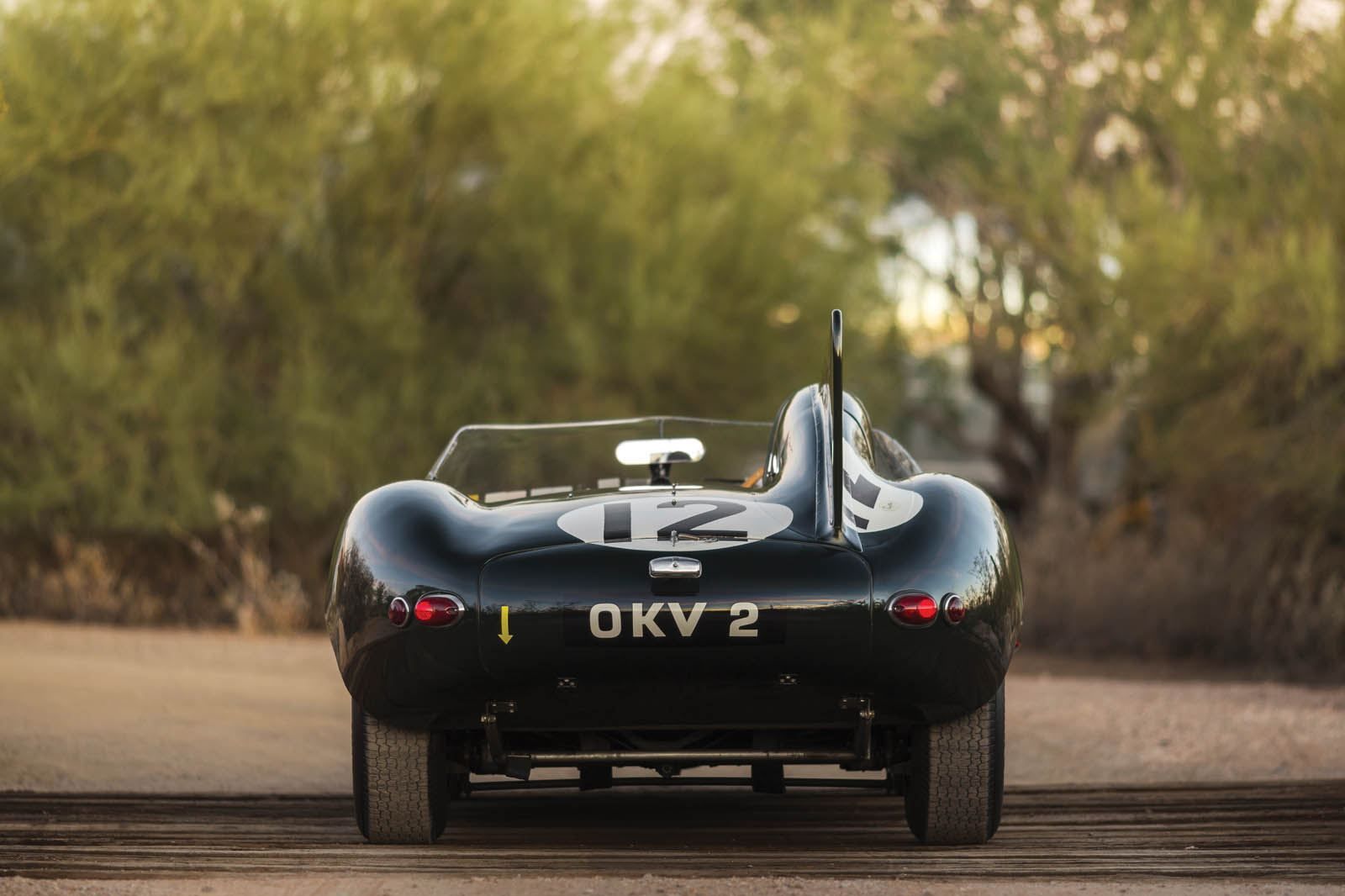 This 1954 Jaguar D-Type Race Car Will Have Collectors in a Frenzy – Robb  Report