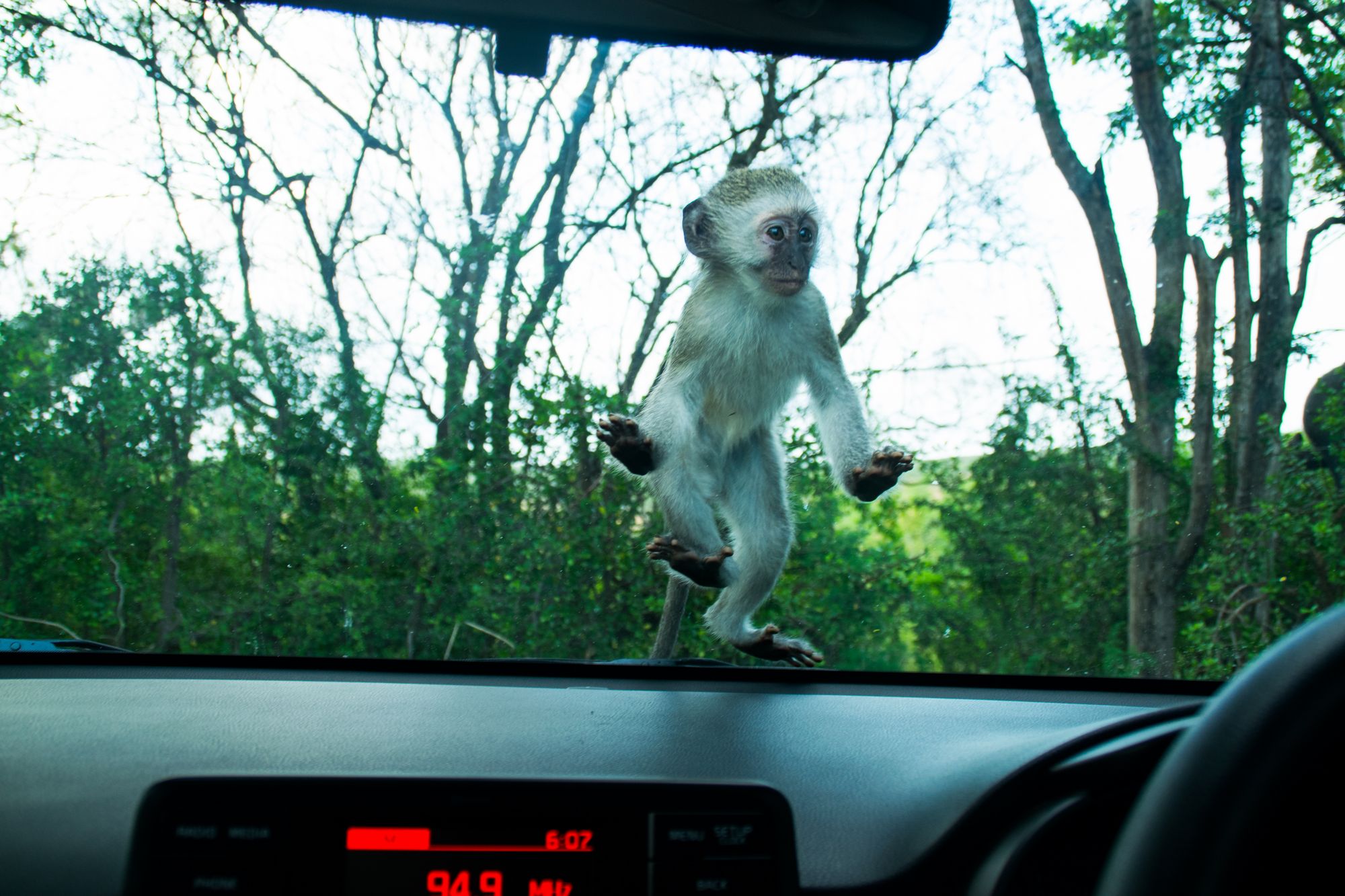 Kia-Picanto-South-Africa-19 Why Did We Take A Kia Picanto On A Road Trip To South Africa? Because It’s There