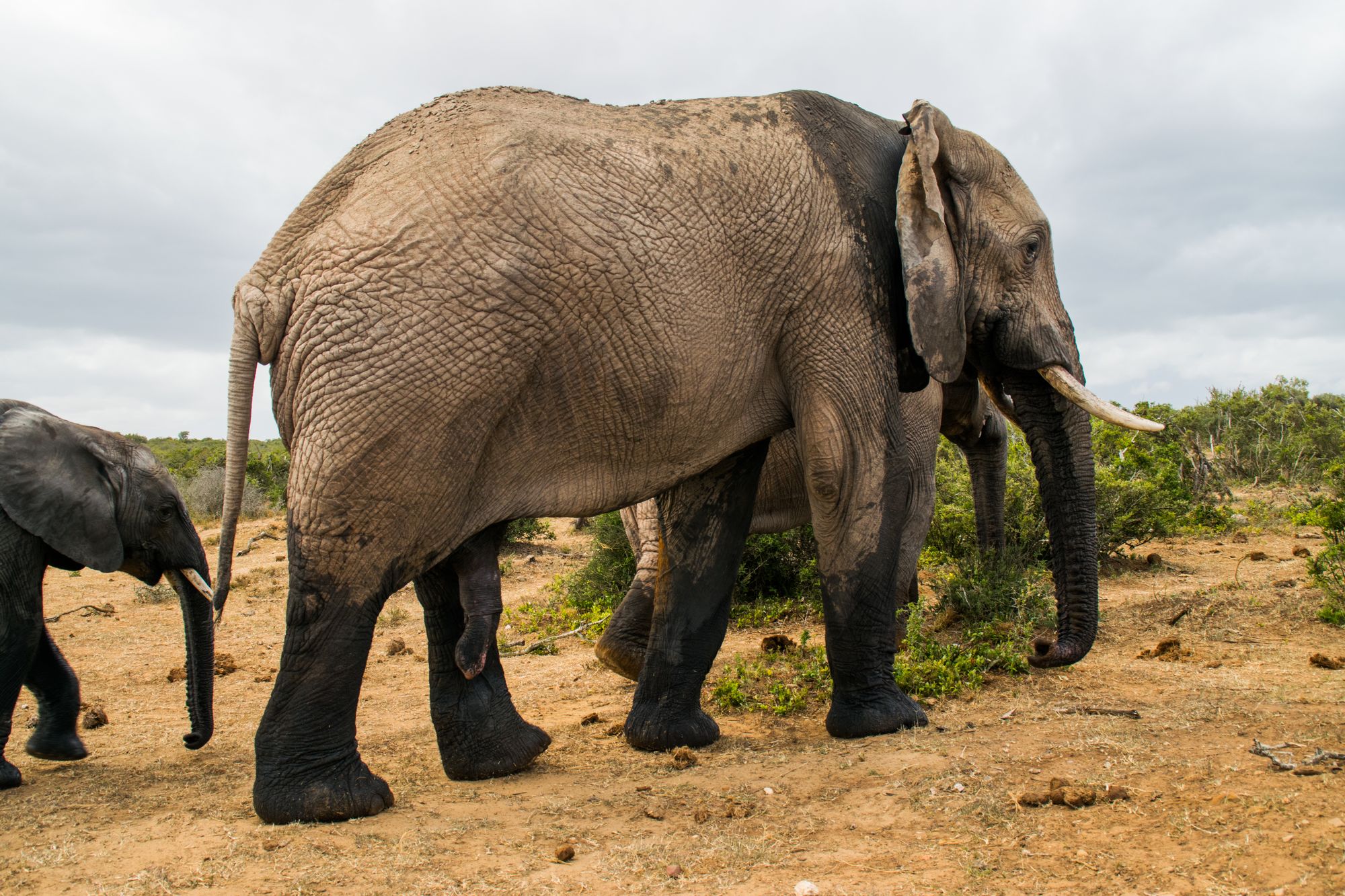 Kia-Picanto-South-Africa-20 Why Did We Take A Kia Picanto On A Road Trip To South Africa? Because It’s There