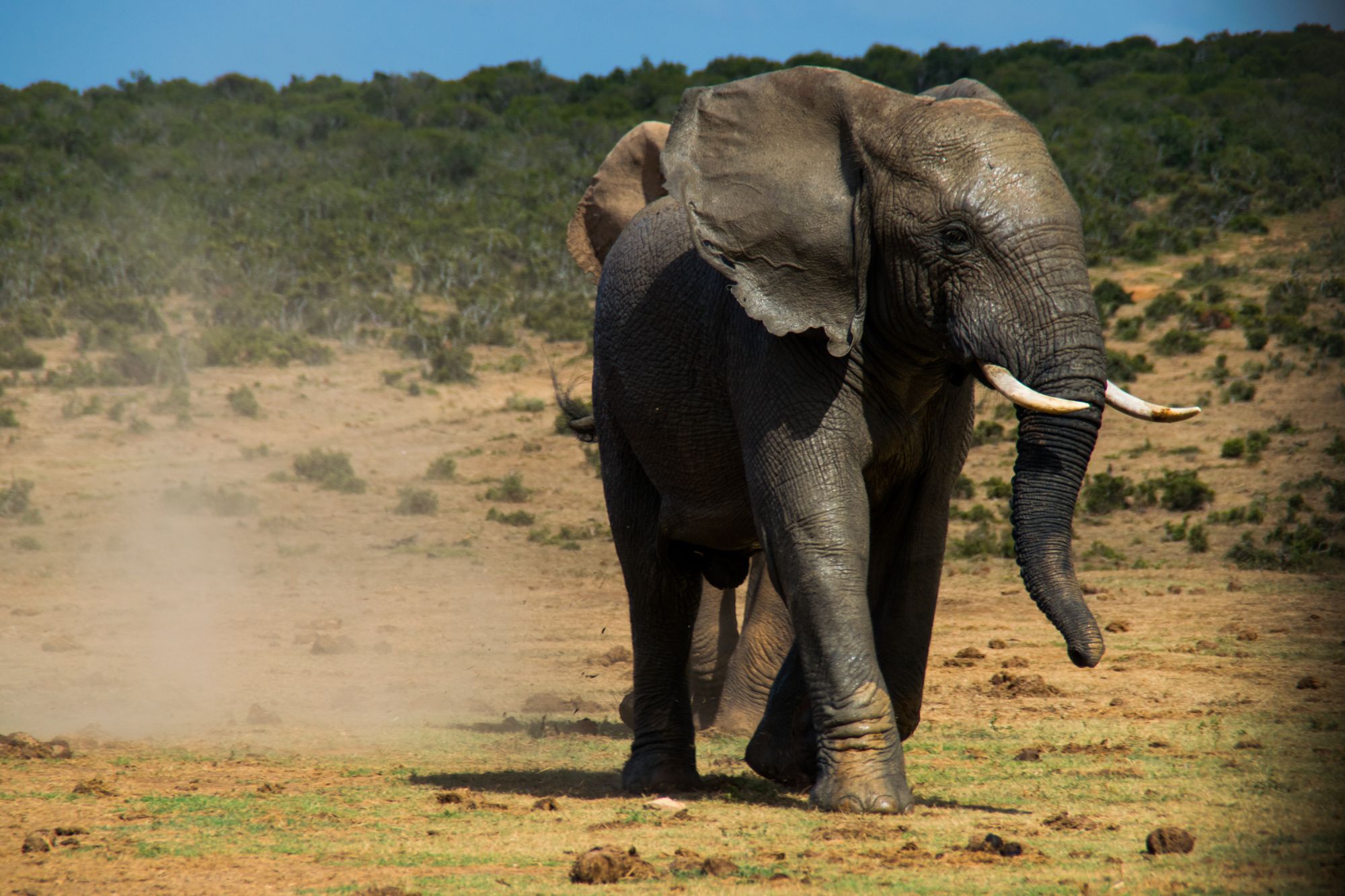 Kia-Picanto-South-Africa-36 Why Did We Take A Kia Picanto On A Road Trip To South Africa? Because It’s There