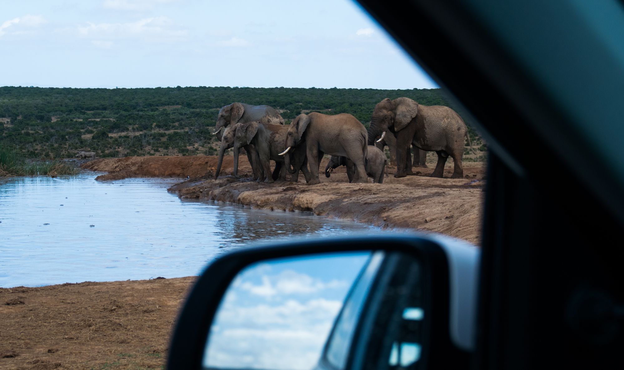 Kia-Picanto-South-Africa-37 Why Did We Take A Kia Picanto On A Road Trip To South Africa? Because It’s There