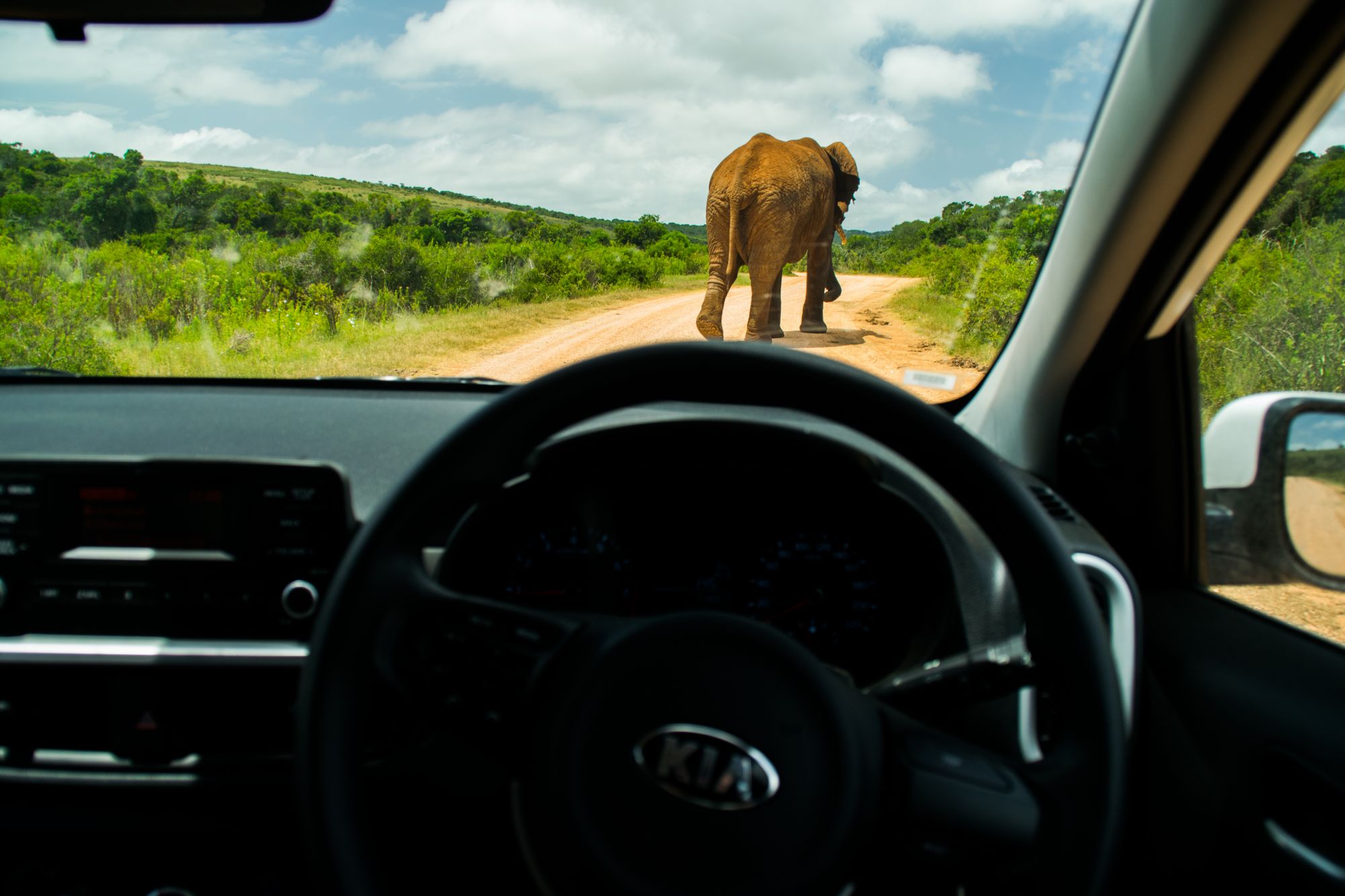 Kia-Picanto-South-Africa-40 Why Did We Take A Kia Picanto On A Road Trip To South Africa? Because It’s There