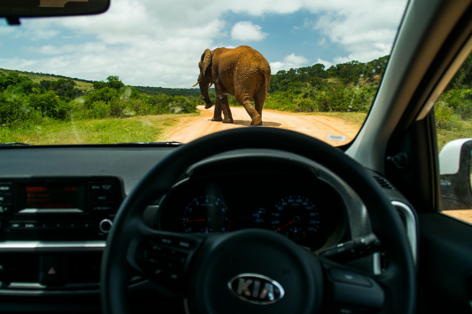 Kia-Picanto-South-Africa-41 Why Did We Take A Kia Picanto On A Road Trip To South Africa? Because It’s There