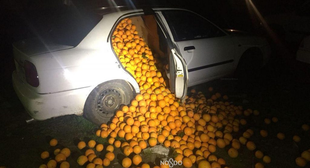  Cops Pulled Over Two Cars Stuffed With 4 Tons Of Stolen Oranges