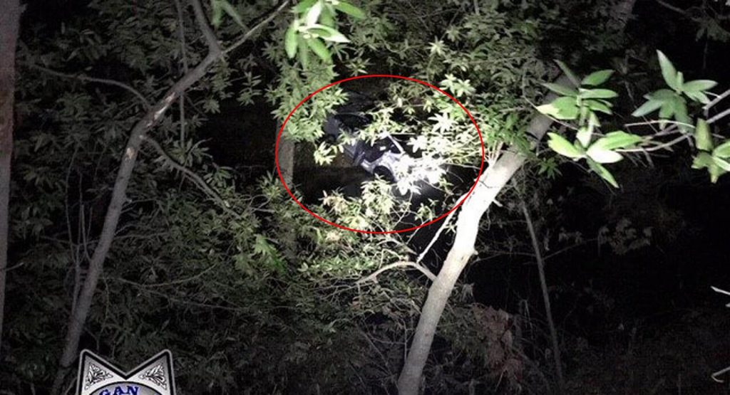 Tesla Employee Charged With DUI After Crashing Model 3 In California