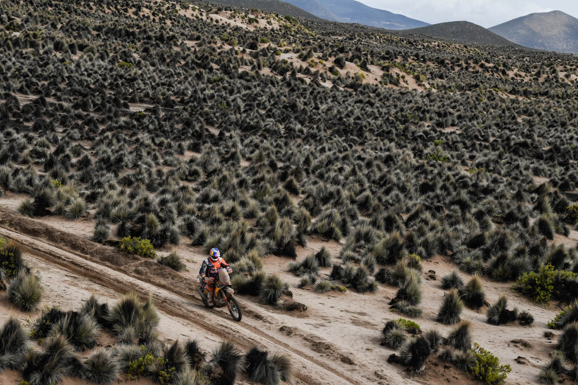 Toby Price Peugeot Takes Its Third (And Final) Consecutive Dakar Win
