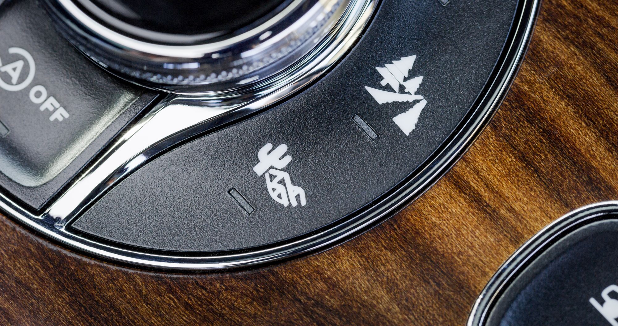 A001_C048_1211SP Bentley Uses Trees From Mississippi Wetlands For Its Latest Wooden Veneer