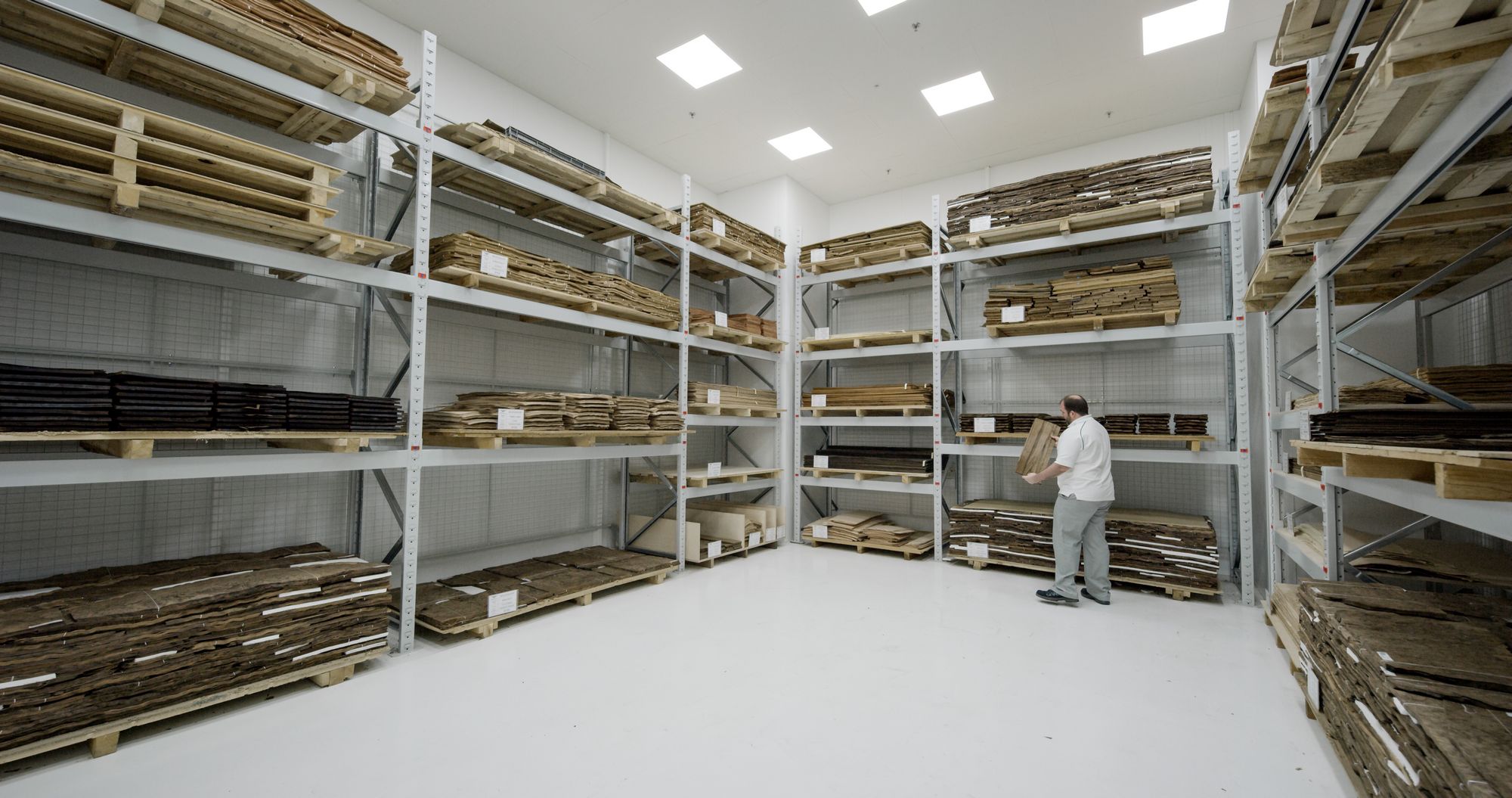 A003_C007_1110VF Bentley Uses Trees From Mississippi Wetlands For Its Latest Wooden Veneer