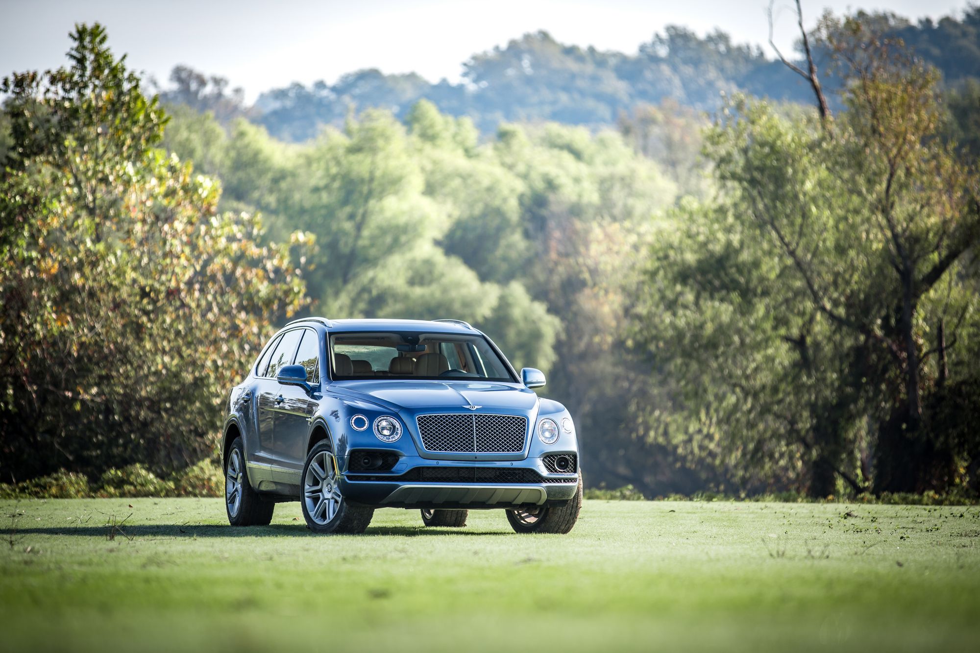 Bentley-Liquid-Amber-Veneer-9 Bentley Uses Trees From Mississippi Wetlands For Its Latest Wooden Veneer