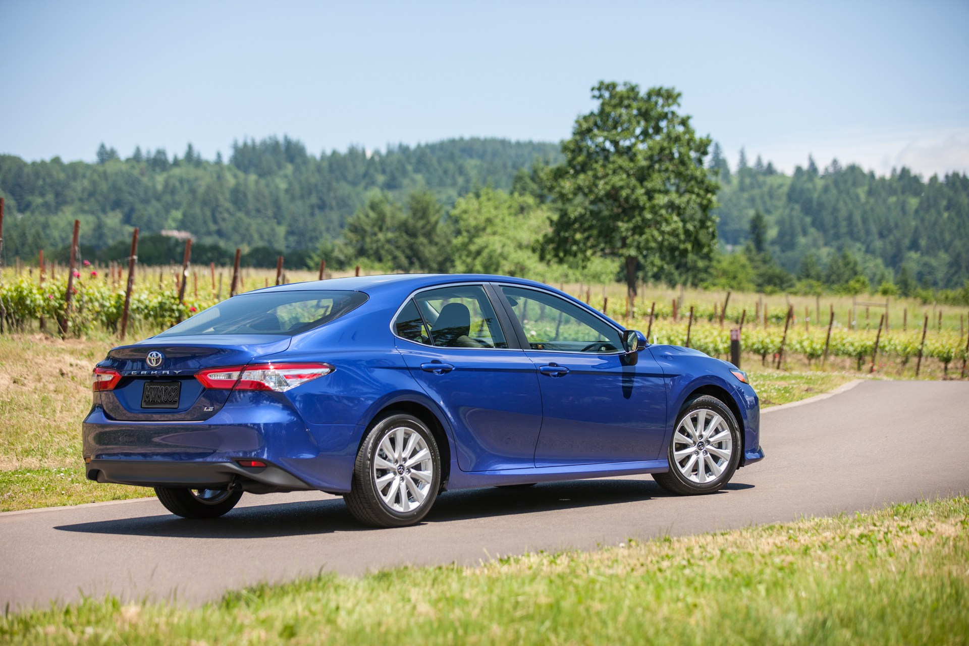 Toyota-Camry-4 Toyota To Reexamine Its Sedan Lineup, Could Cut Certain Trim Levels