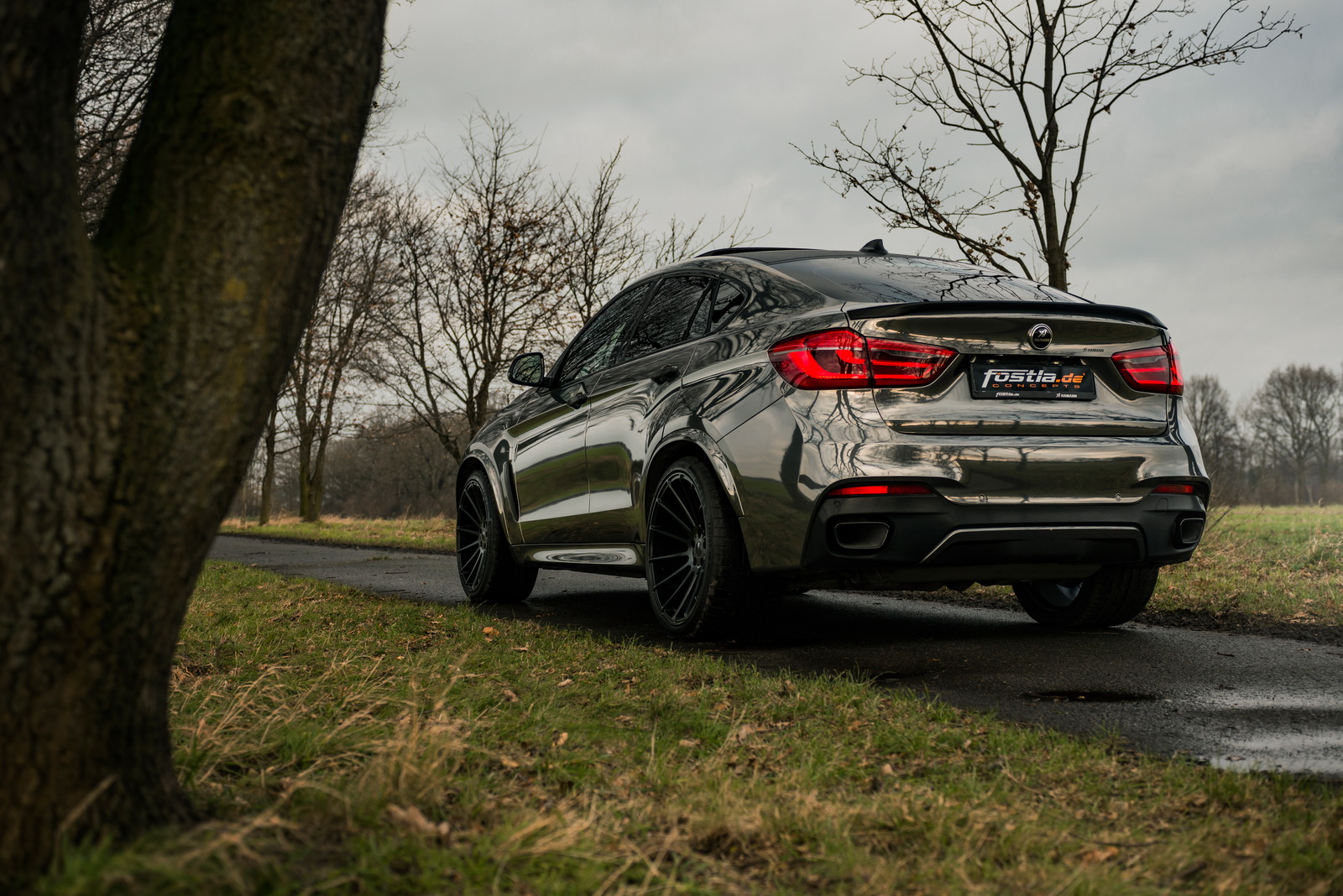 bmw-x6-m50d-tuning-fostla-hamman-3 Fostla’s Shiny Custom Take On 443PS Hamann BMW X6 M50D