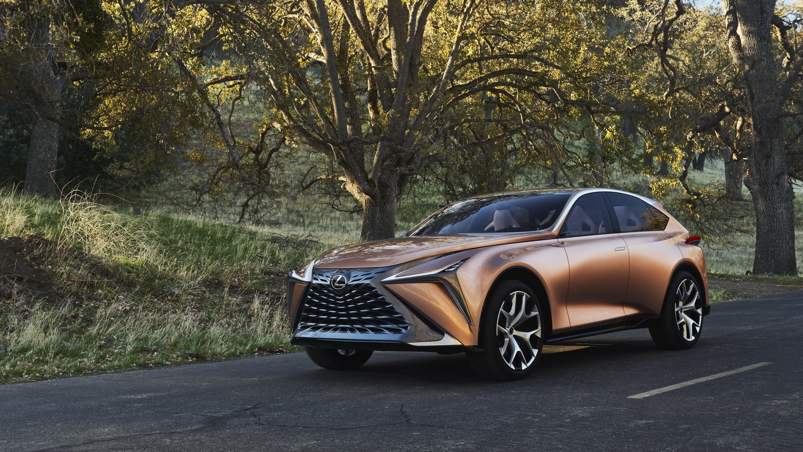 lexus-lf-1-limitless-concept-4 LF-1 Limitless, RXL And LS Are Lexus’ 2018 Chicago Auto Show Stars