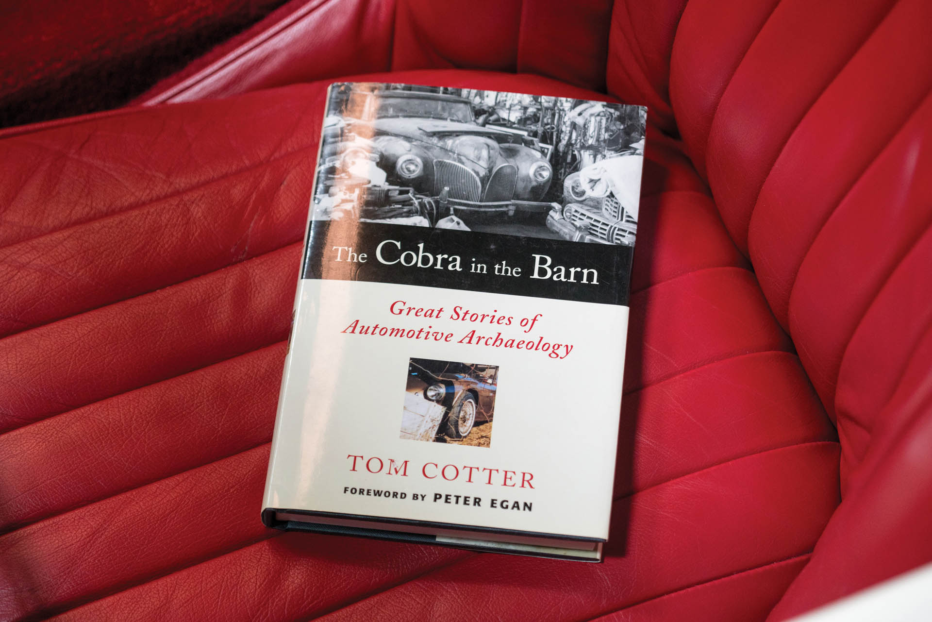 1963-Shelby-289-Cobra_20 copy This Shelby Cobra Could Be The Ultimate Barn Find