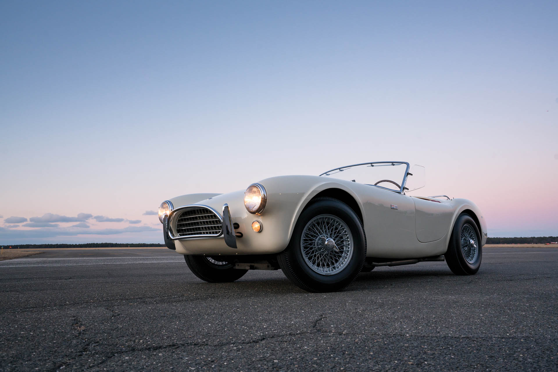 1963-Shelby-289-Cobra_23 copy This Shelby Cobra Could Be The Ultimate Barn Find