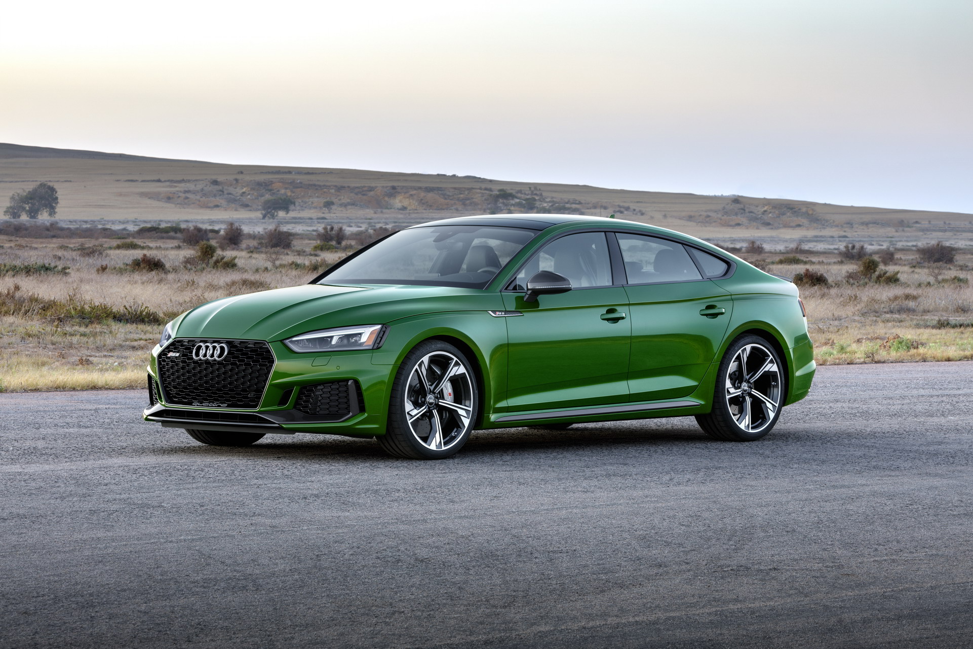 Audi RS5 Sportback 10 Audi RS5 Sportback Is Your Practical Excuse To Get A 444-hp Rocket For The Family