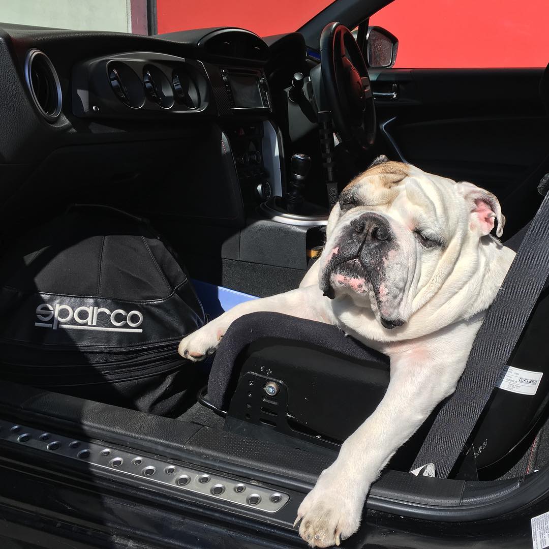 ferrari-599-gtb-formula-drift-federico-sceriffo-44 800 HP Twin-Turbo Ferrari 599 Drift Car Puts Up A Tire-Shredding Show