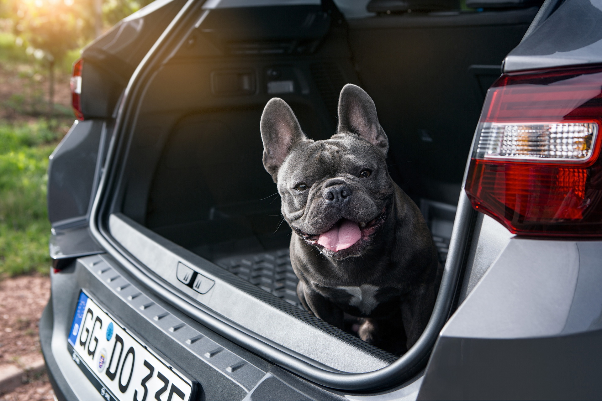 opel-grandland-x-accessories-3 Opel Grandland X Gets OPC Line Treatment And Original Accessories