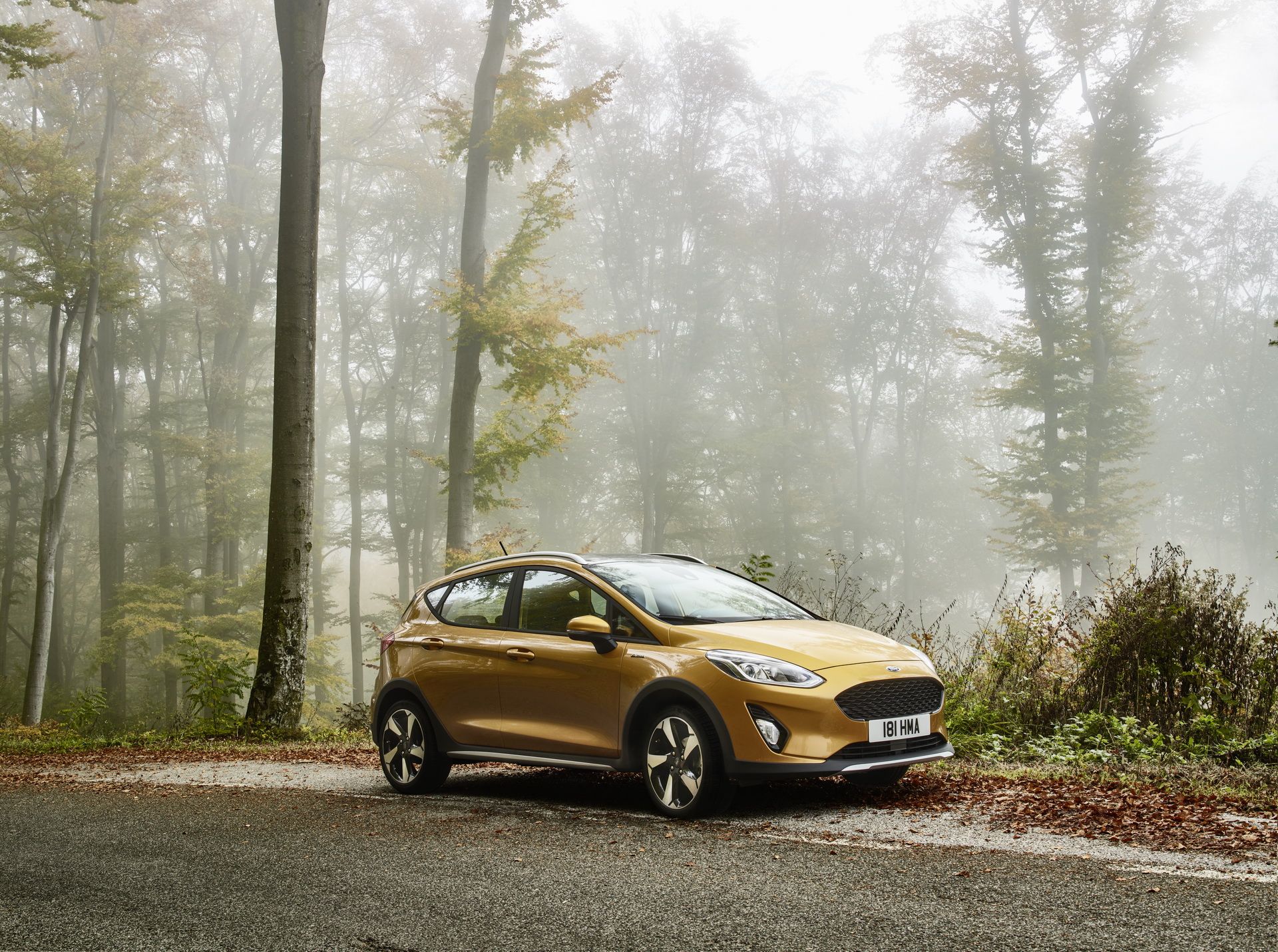 2018_Ford_Fiesta_ACTIVE_33 New Ford Fiesta Active Launched In Europe Looking Rugged And Fun