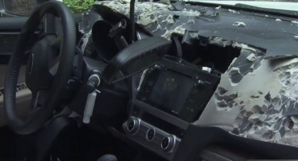  Black Bear Gets Trapped In A Subaru, Positively Destroys The Interior