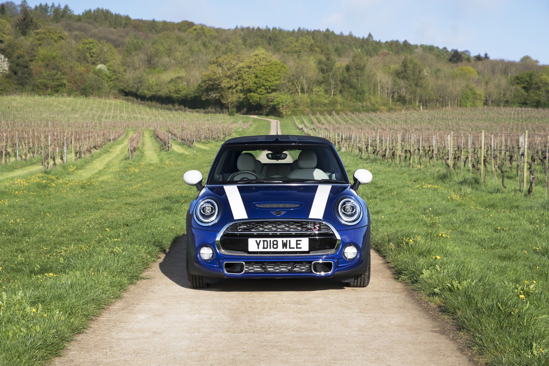 MINI-Cooper-Convertible-27 MINI Celebrates 25 Years Of Convertibles With A New Special Edition