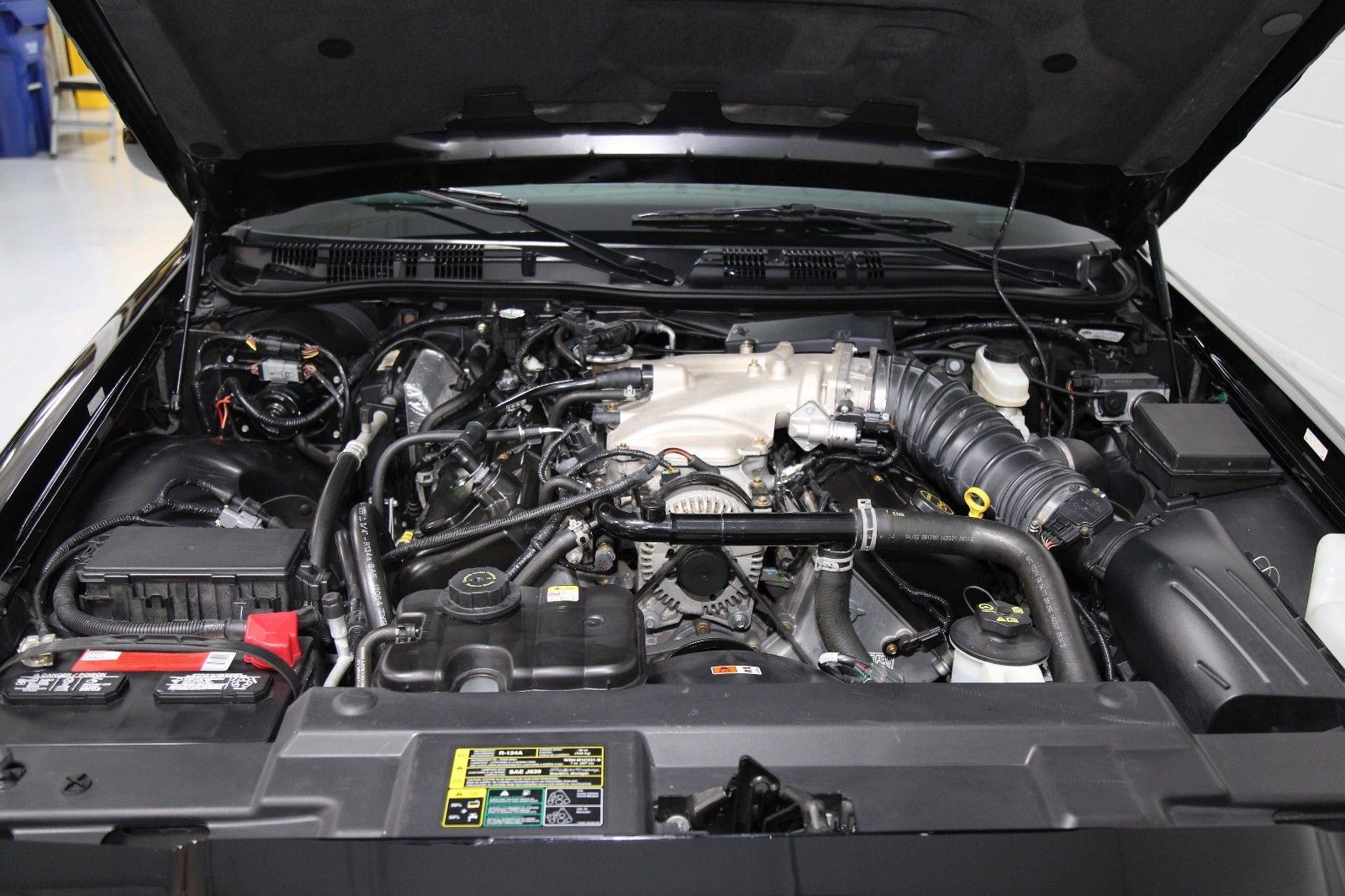 mercury-marauder-ebay-low-mileage-5 Well… Someone Thinks A 2003 Mercury Marauder Is Worth $30,000!