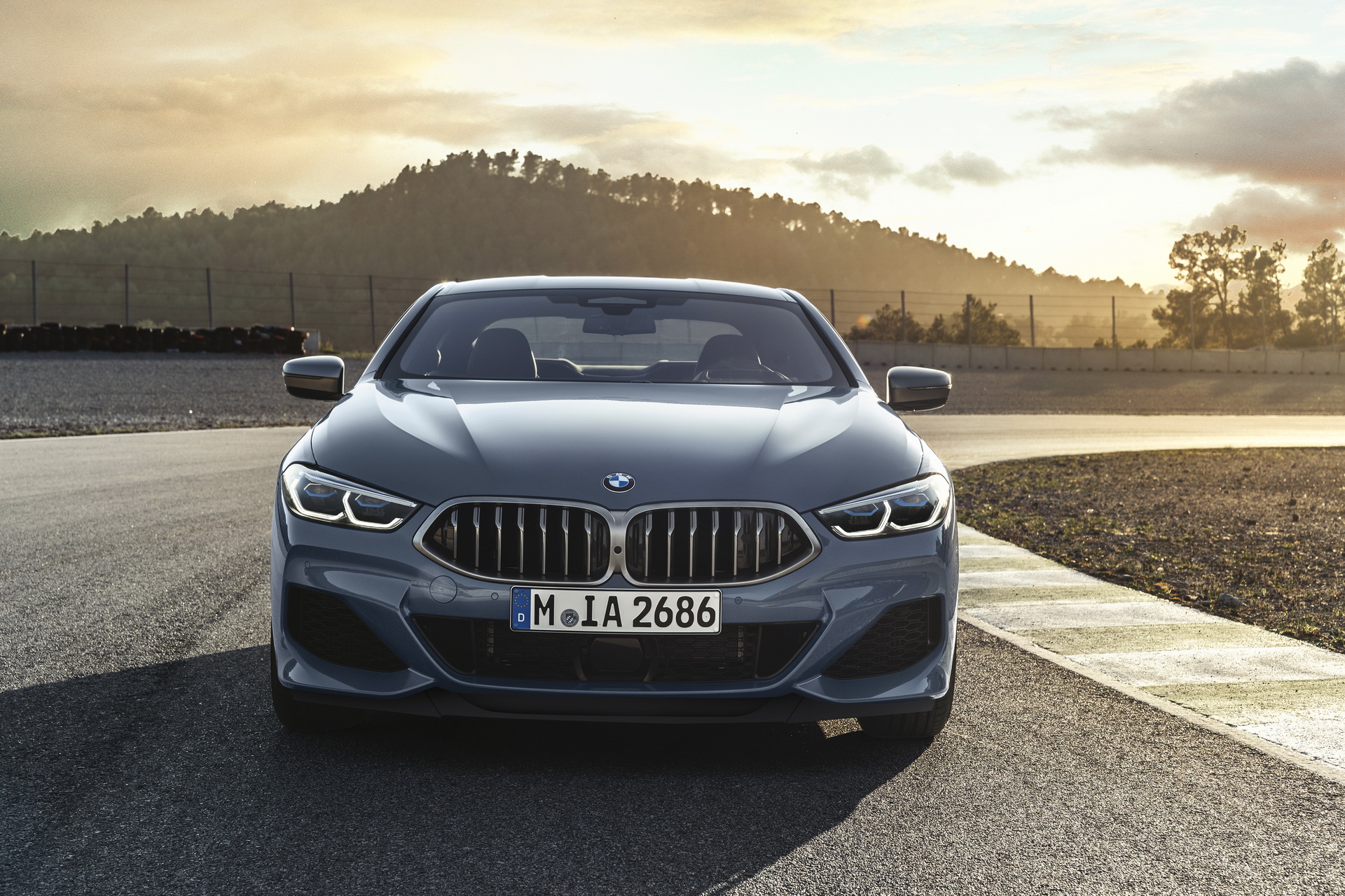 2019-bmw-8-series-coupe-2 BMW 8-Series Available With Gas And Diesel Engines From €100,000 In Germany