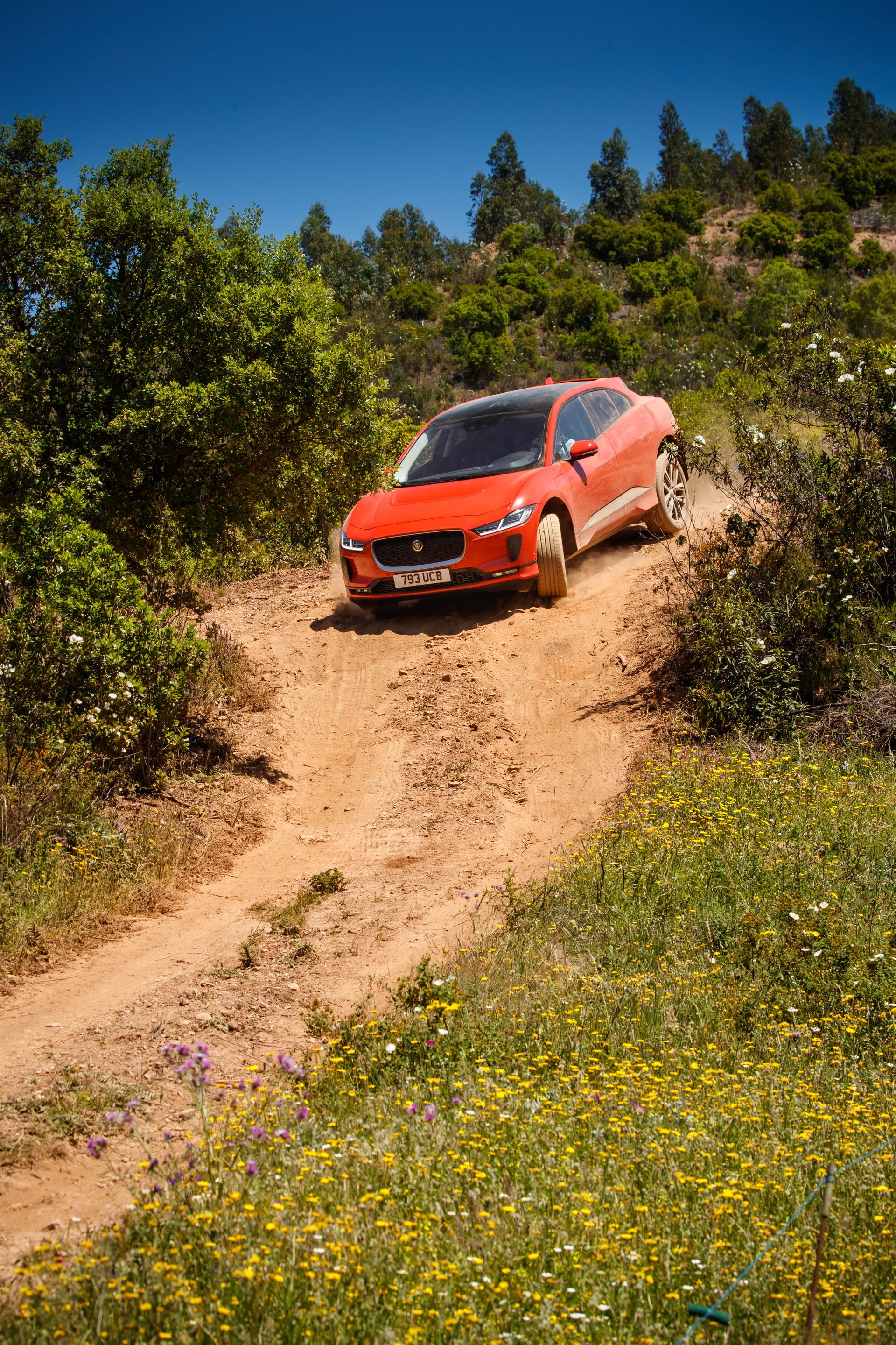 Jaguar-IPace-09 Jaguar Details 2019 I-Pace EV In 95 Images