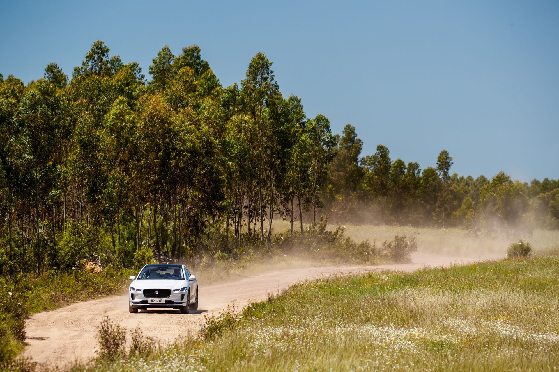 Jaguar-IPace-56 Jaguar Details 2019 I-Pace EV In 95 Images
