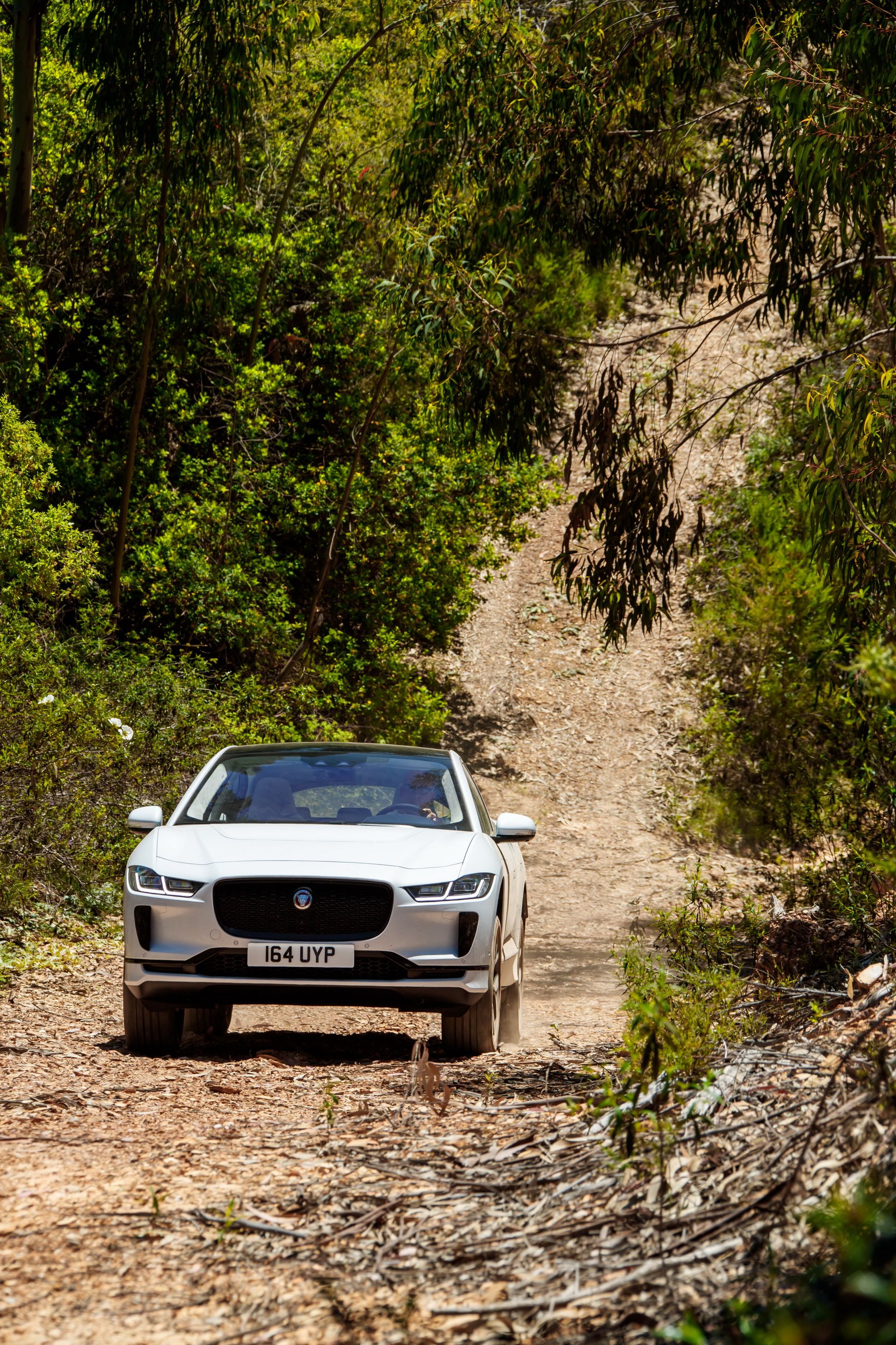 Jaguar-IPace-59 Jaguar Details 2019 I-Pace EV In 95 Images