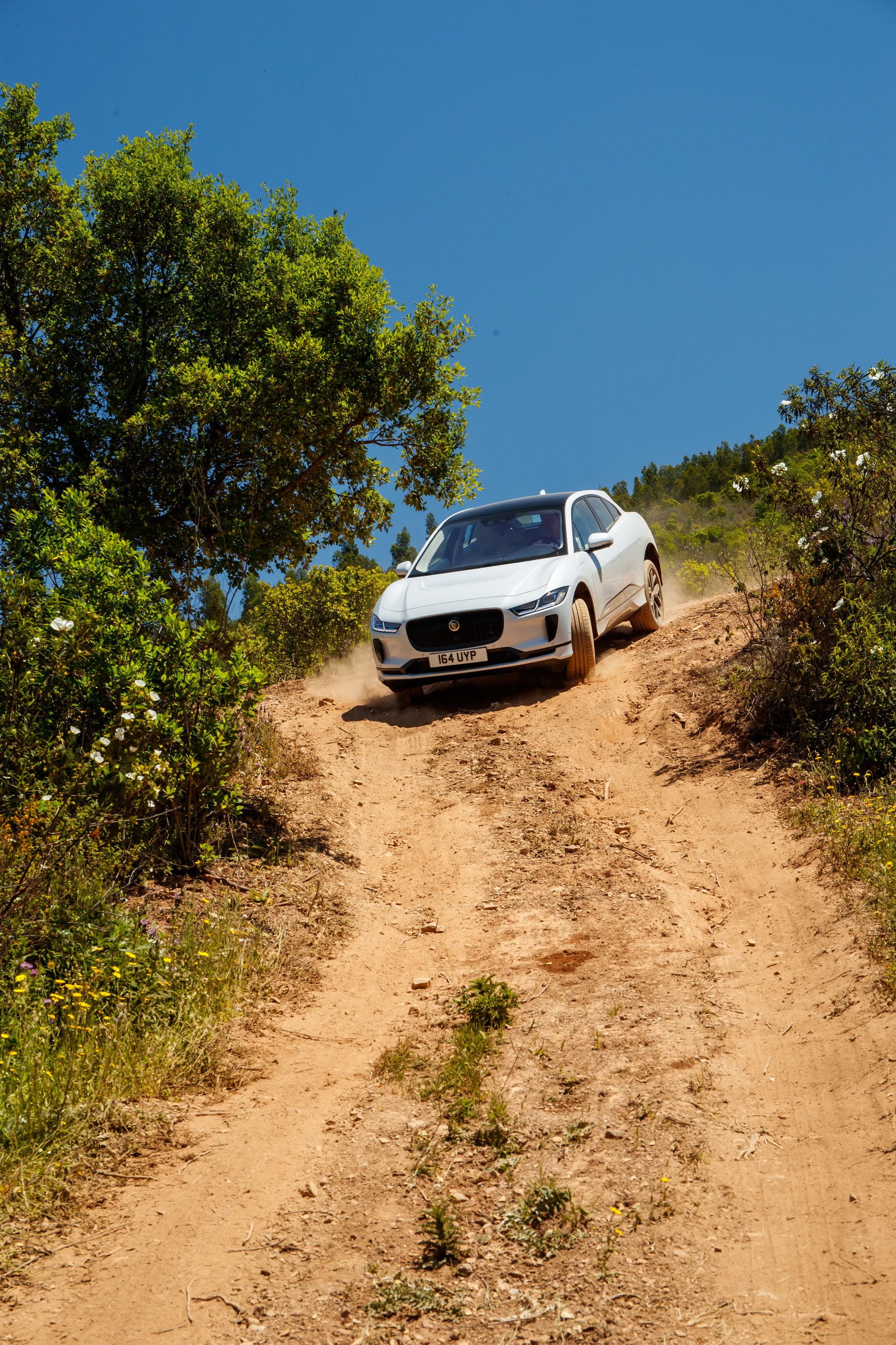 Jaguar-IPace-65 Jaguar Details 2019 I-Pace EV In 95 Images