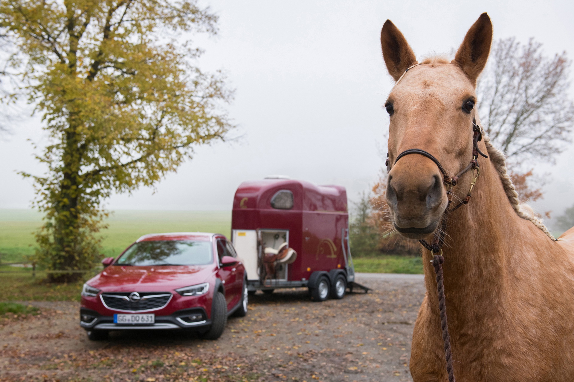 Opel-Exclusive-03 Opel Will Paint Your Insignia Any Color You Want For 5,900 Euros