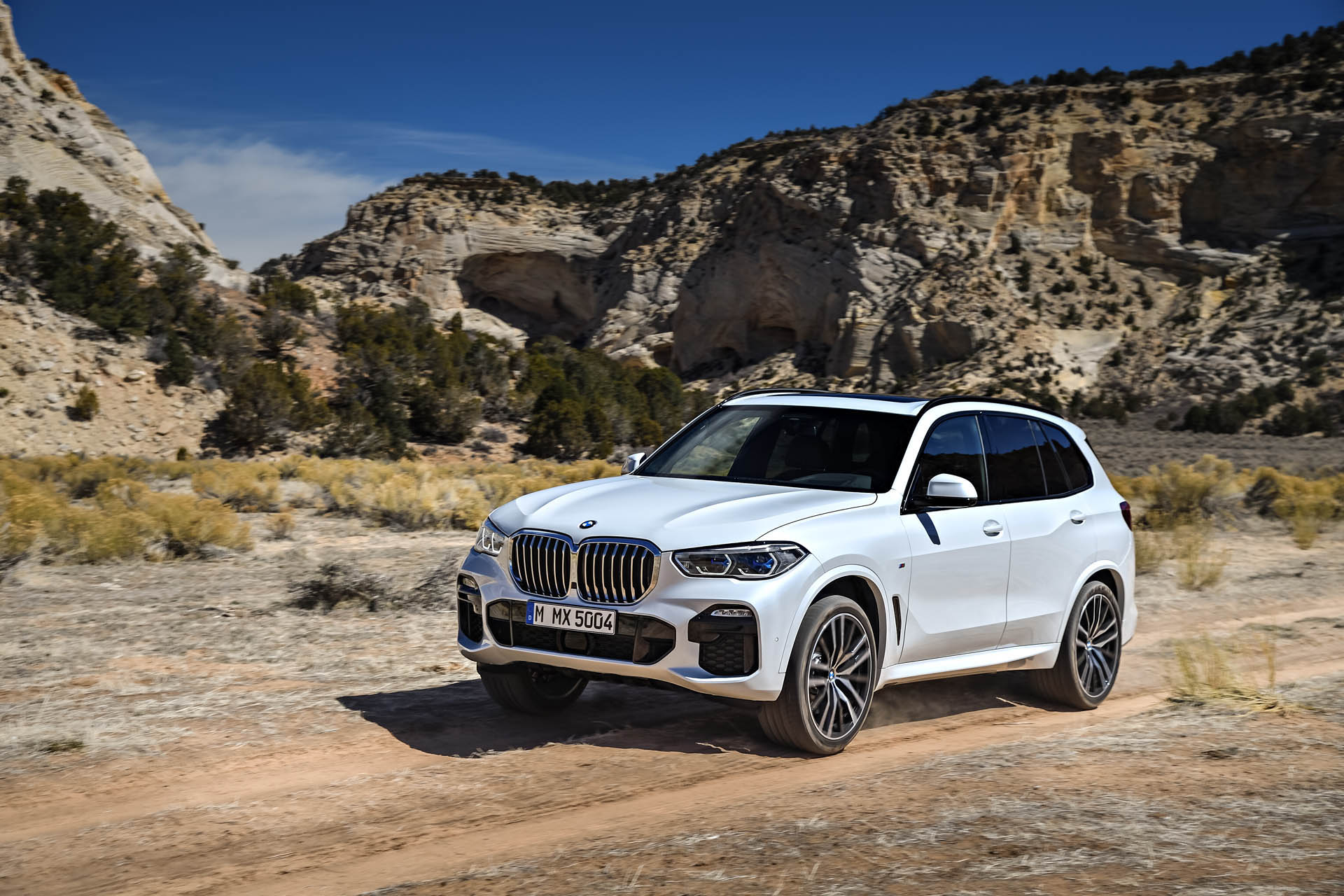 2019-bmw-x5-08 2019 BMW X5 Reaching US Showrooms From $60,700