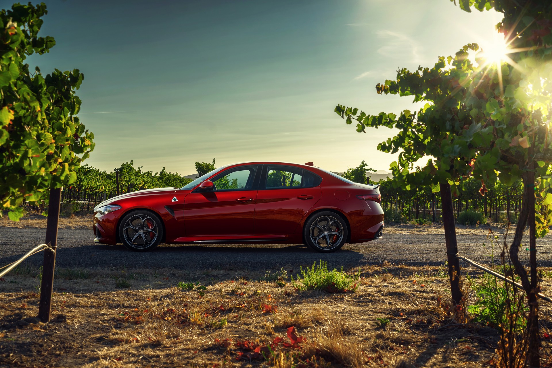 2019-Alfa-Romeo-Giulia-47 2019 Alfa Romeo Giulia Gains New Styling Packages, Additional Equipment