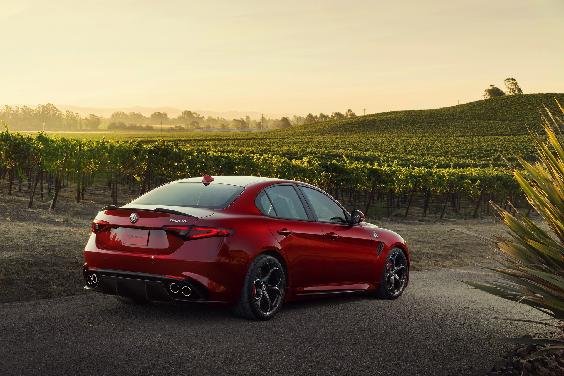 2019-Alfa-Romeo-Giulia-50 2019 Alfa Romeo Giulia Gains New Styling Packages, Additional Equipment
